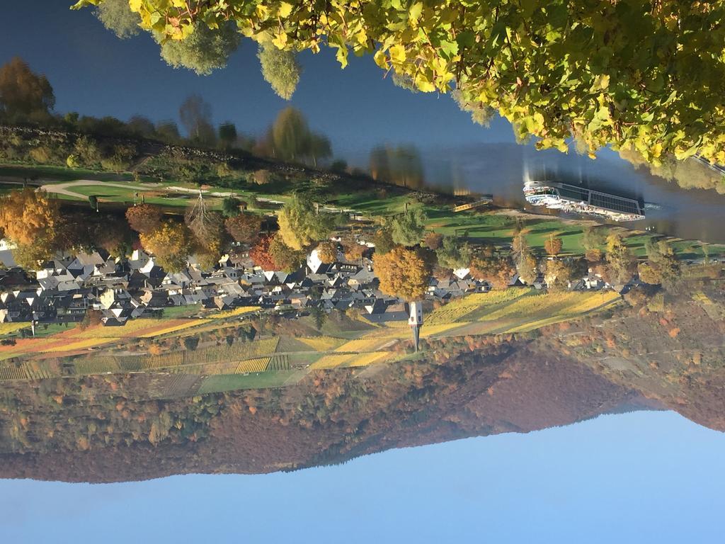 Apartment Mosel-Götterlay Bruttig-Fankel Buitenkant foto